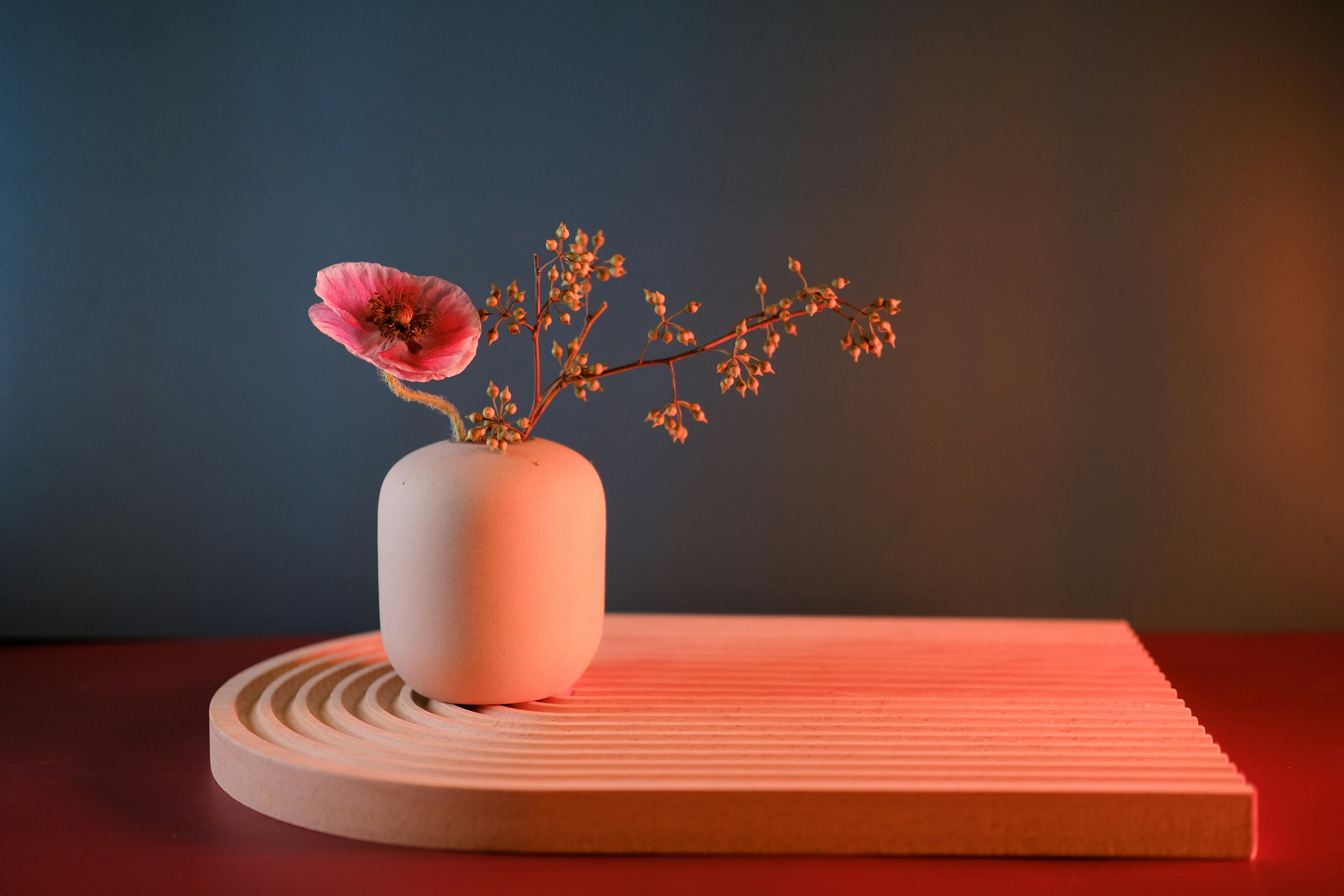 Cozy and sophisticated home space showcasing modern furniture and decorative accessories